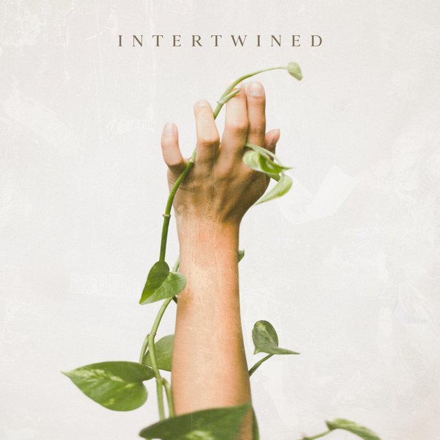 Intertwined album art